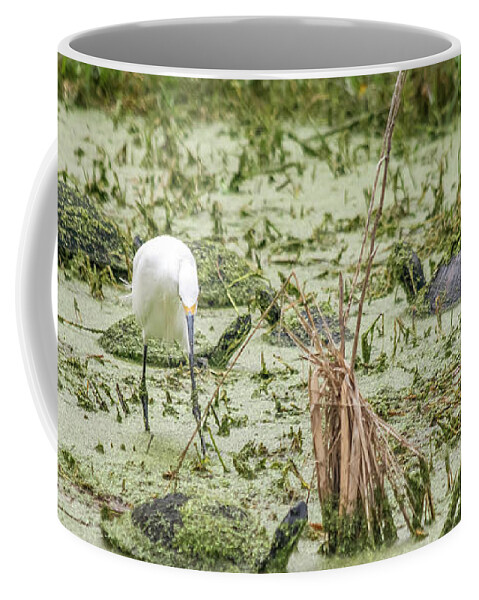 Egret Coffee Mug featuring the photograph Egret Among the Turtles by Robert Wilder Jr