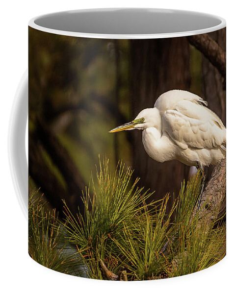 Chincoteague Coffee Mug featuring the photograph Egret at take-off by Robert Miller