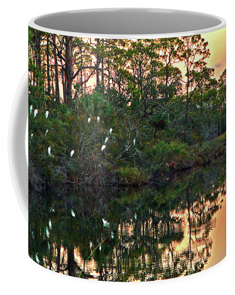 Egrets Coffee Mug featuring the photograph Egret Pond by Rick Wilking