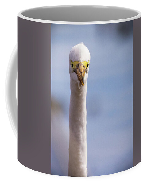 Color Coffee Mug featuring the photograph Egret Stare by Jean Noren
