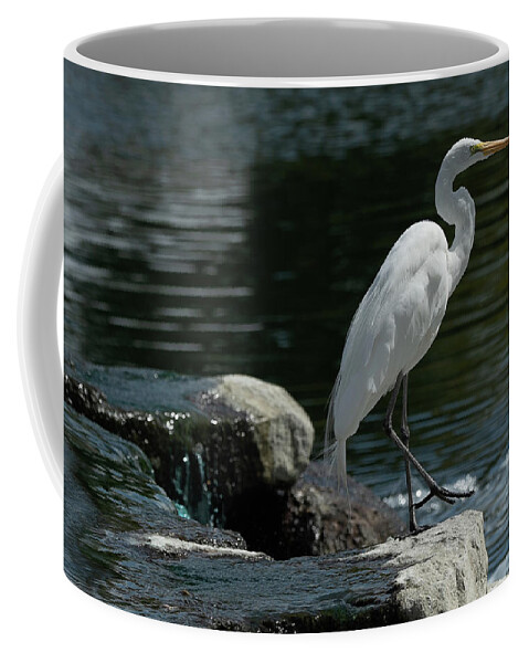 Egret Coffee Mug featuring the photograph Egret Stepping Out by Bonnie Colgan