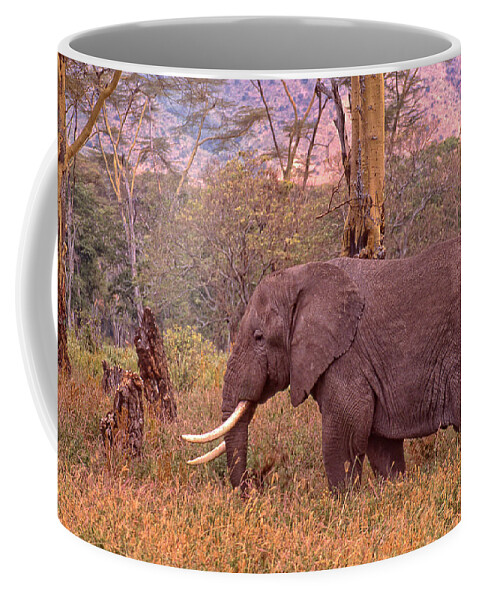 Elephant Coffee Mug featuring the photograph Elephant and Grass by Russel Considine