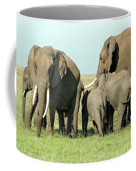 Elephant Coffee Mug featuring the photograph Elephant Family by Steve Templeton