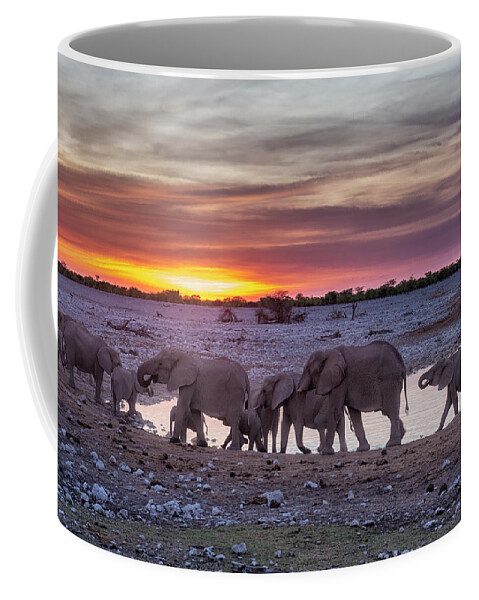 Elephants Coffee Mug featuring the photograph Elephant Herd at Okaukuejo Waterhole at Sunset by Belinda Greb