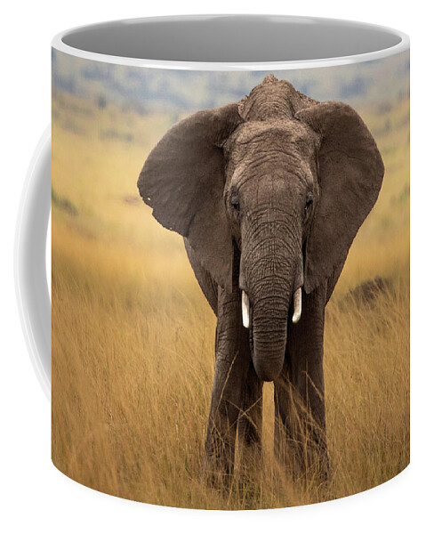 Elephant Coffee Mug featuring the photograph Elephant on the Mara by Diana Andersen