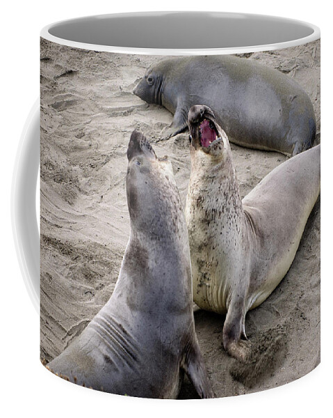 Wildlife Coffee Mug featuring the photograph Elephant Seals Highway 1 California Coast by Mary Lee Dereske