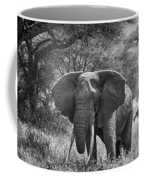 Elephant Coffee Mug featuring the photograph Elephant Tarangire National Park Tanzania by Mary Lee Dereske