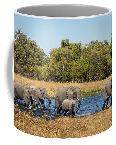 African Elephants Coffee Mug featuring the photograph Elephants Crossing the River by Elvira Peretsman