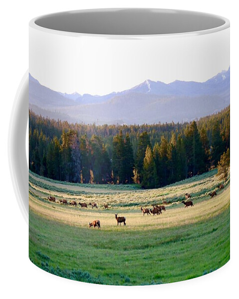 Elk Coffee Mug featuring the photograph Elk morning stroll by Yvonne M Smith