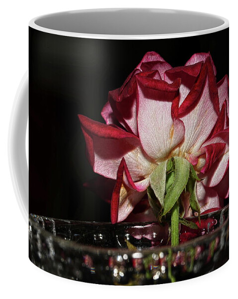 Rose Coffee Mug featuring the photograph Embossed Rose in A Vase by Mingming Jiang