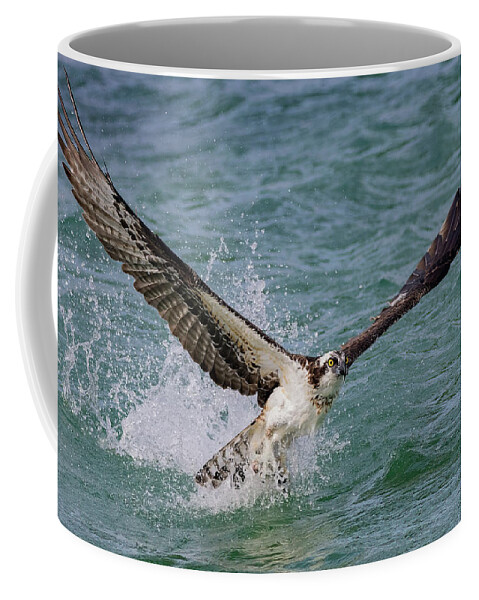 Osprey Coffee Mug featuring the photograph Emergence by RD Allen