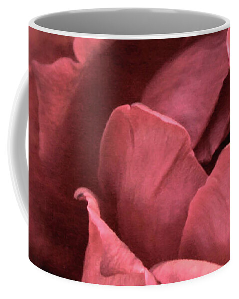Rose Coffee Mug featuring the photograph Emerging Rose by Sally Bauer