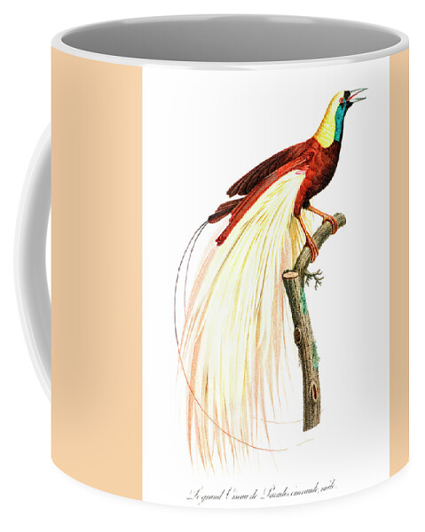 Jacques Barraband Coffee Mug featuring the painting Emperor bird-of-paradise by Jacques Barraband #1 by Mango Art
