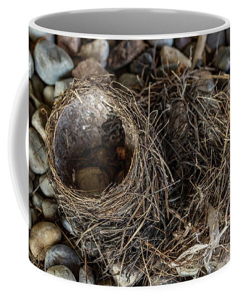 Animals Coffee Mug featuring the photograph Empty Nest - Wildlife Photography 2 by Amelia Pearn