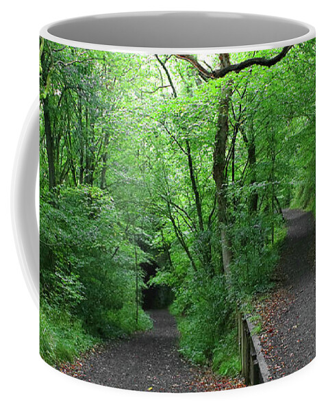 Brook Coffee Mug featuring the photograph Enchanted Forest - Study VII by Doc Braham