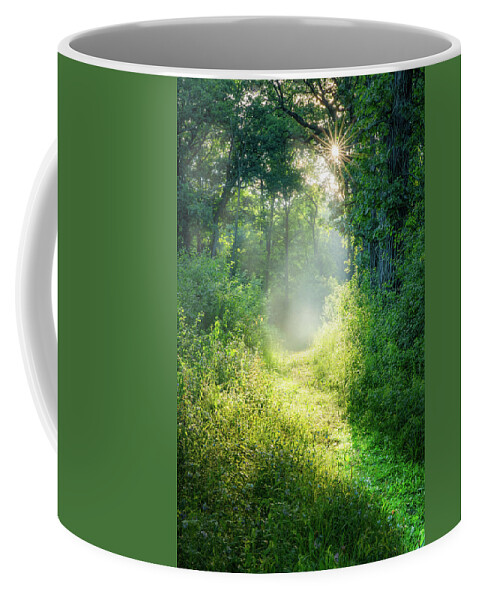 Path Coffee Mug featuring the photograph Enchanting by Brad Bellisle