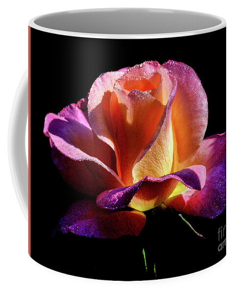Rose Coffee Mug featuring the photograph Enchantment #2 by Doug Norkum