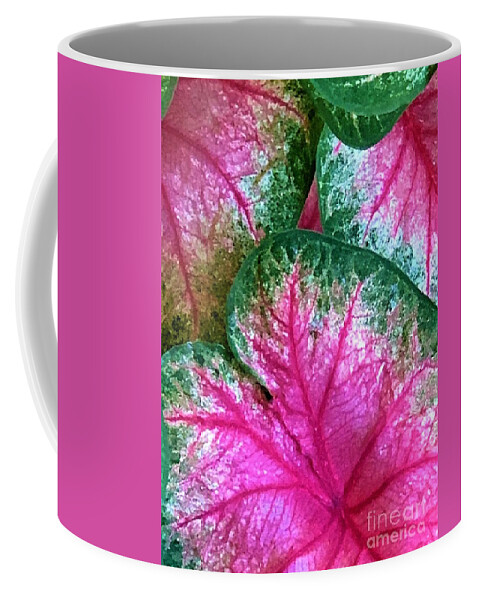 Encouraged Coffee Mug featuring the photograph Encouraged Hearts by Tiesa Wesen