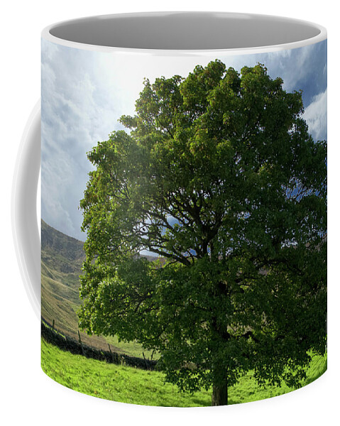 Oak Coffee Mug featuring the photograph English Oak Tree-Doves Stones Reservoir by Pics By Tony