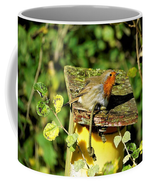 Robin Coffee Mug featuring the photograph English Robin On A Birdhouse by Tranquil Light Photography