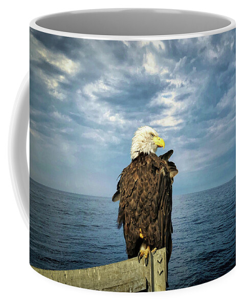 Bald Eagle Coffee Mug featuring the photograph Enjoying a Maine Sky by Jack Wilson