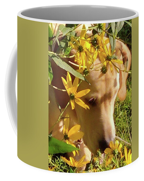 Dog Coffee Mug featuring the photograph Enjoying Nature by Kim Galluzzo