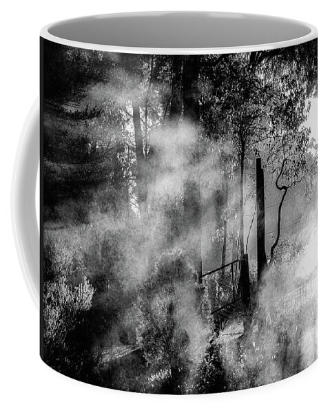 Botanical Coffee Mug featuring the photograph Entrance to the unknown - mist in the garden of time by Jeremy Holton