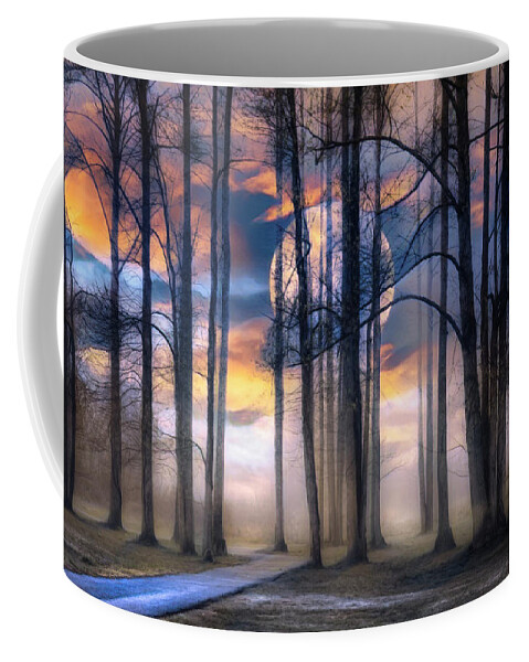 Trail Coffee Mug featuring the photograph Evening Mystery by Debra and Dave Vanderlaan
