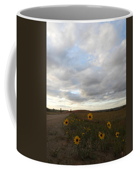 Sunflowers Coffee Mug featuring the photograph Evening Sunflowers by Amanda R Wright