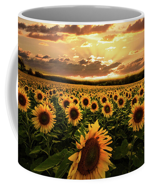 Barns Coffee Mug featuring the photograph Evening Sunset Sunflowers by Debra and Dave Vanderlaan