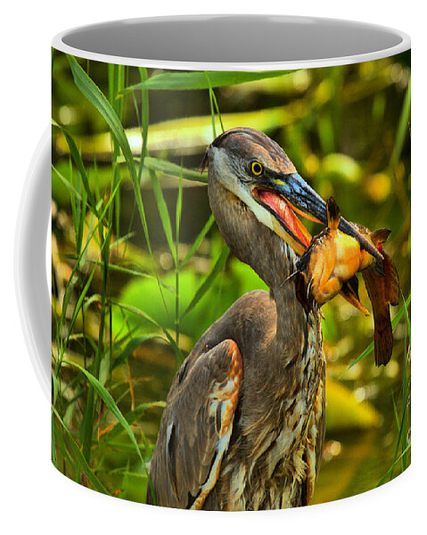 Everglade Coffee Mug featuring the photograph Everglades Catfish Dinner by Adam Jewell