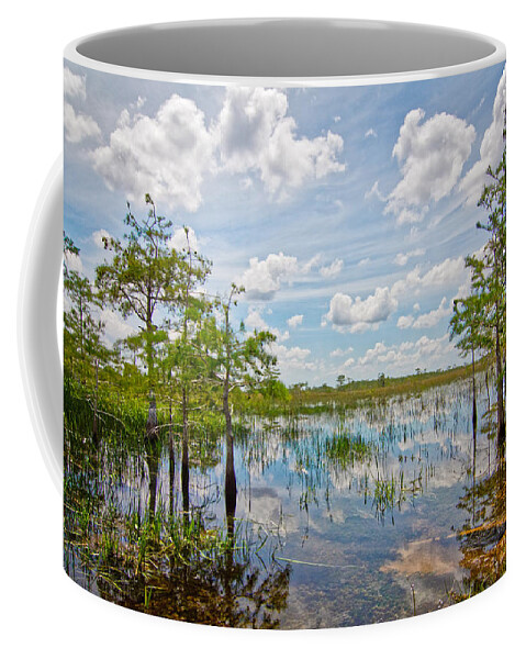 Everglades Coffee Mug featuring the photograph Everglades Landscape 5210 by Rudy Umans