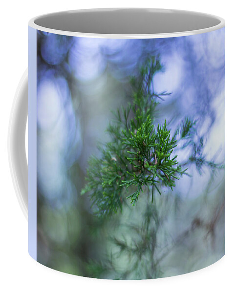 Tree Coffee Mug featuring the photograph Evergreen by David Beechum