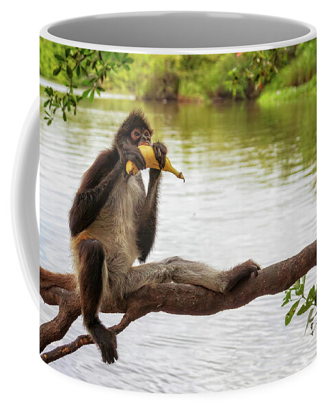 Belize Coffee Mug featuring the photograph Everybody likes bananas by Tatiana Travelways