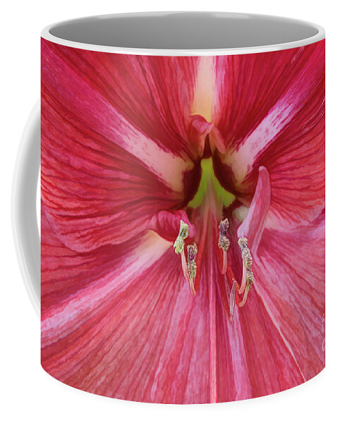 Candy Cane Coffee Mug featuring the photograph Exceptional Candy Cane Amaryllis by Amy Dundon