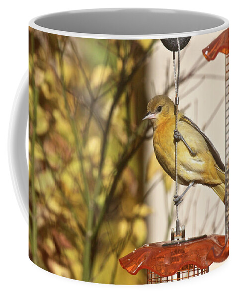Wildlife Coffee Mug featuring the photograph Exercising Pecs by Patricia Youngquist