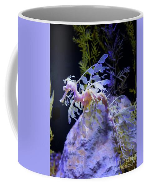 Leafy Sea Dragon Coffee Mug featuring the photograph Exotic Leafy Sea Dragon by Ruth Jolly