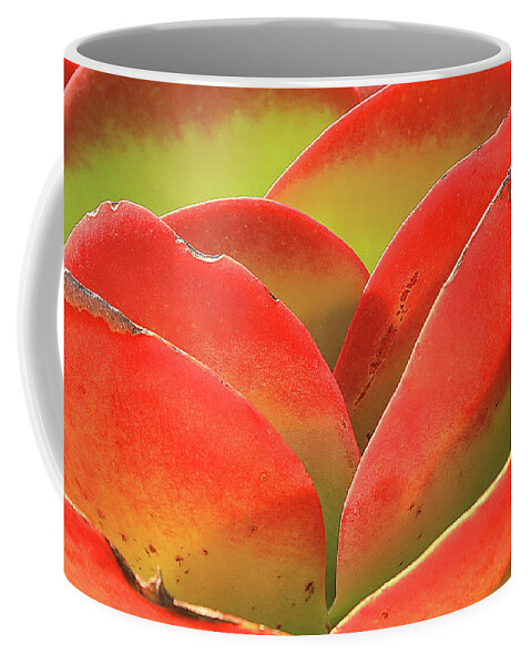 Flower Coffee Mug featuring the photograph Exotic Succulent by Tina M Daniels  Whiskey Birch Studios