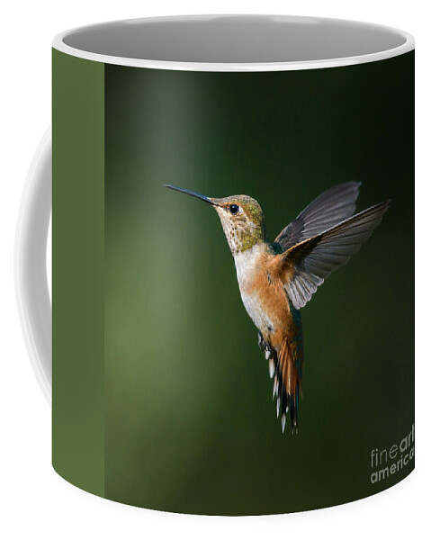 Rufous Hummingbird Coffee Mug featuring the photograph Extended Rufous Wings by Lisa Manifold