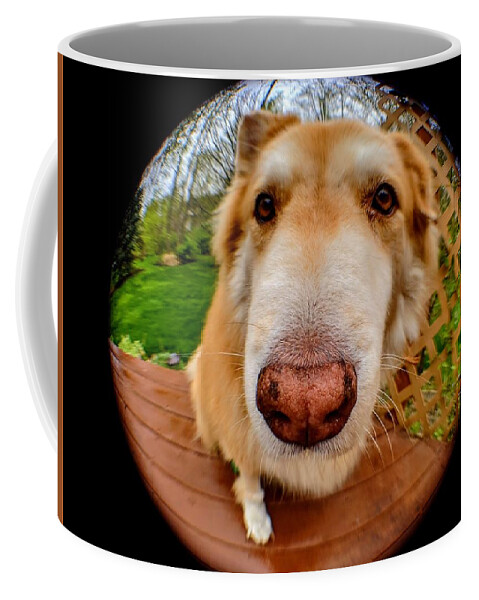  Coffee Mug featuring the photograph Extreme Closeup by Brad Nellis