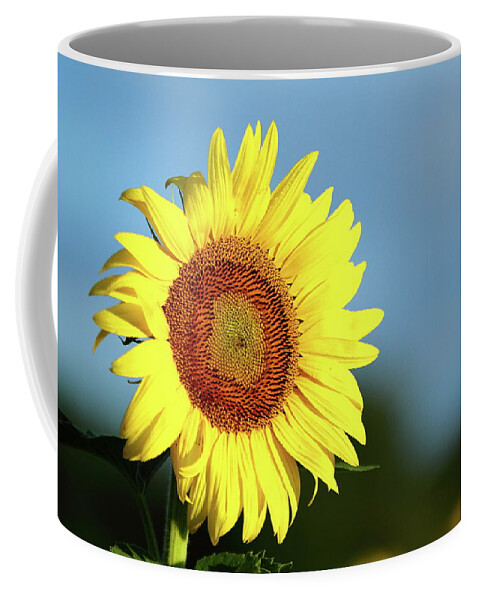 Summer Coffee Mug featuring the photograph Face The Day by Lens Art Photography By Larry Trager