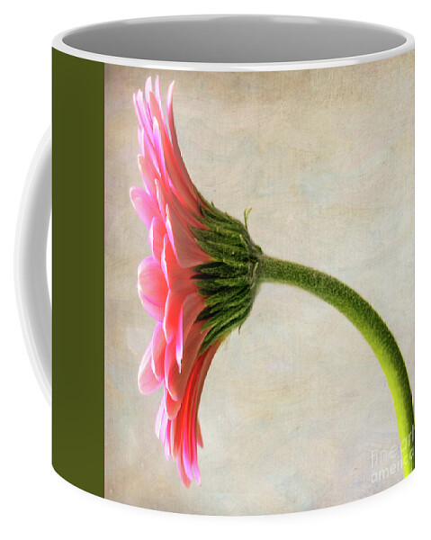 Flower Coffee Mug featuring the photograph Face The Light by Coral Stengel