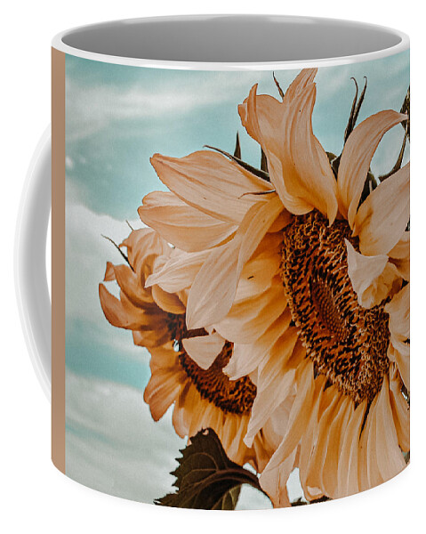 Sunflower Coffee Mug featuring the photograph Fading Days by Bonny Puckett