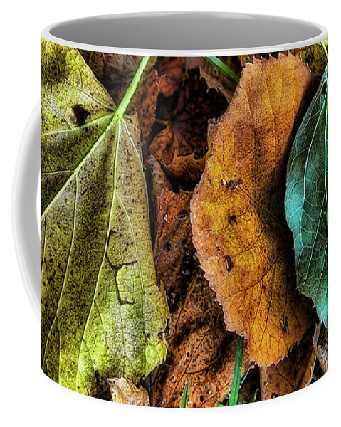 Green Leaves Coffee Mug featuring the photograph Fading Greens of Autumn by Steve Sullivan