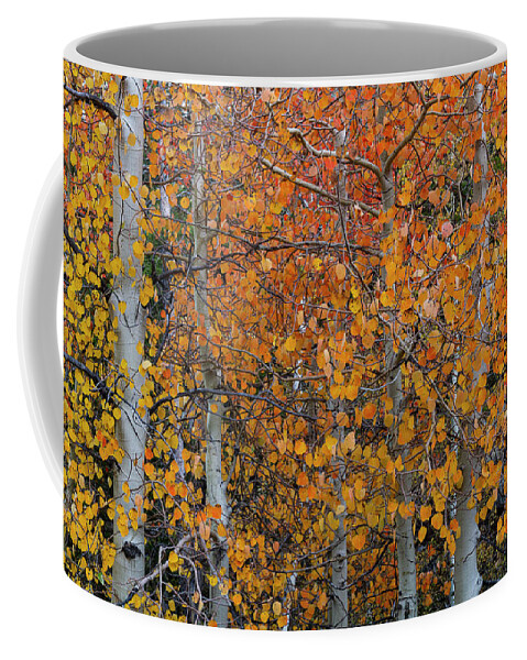 North America Coffee Mug featuring the photograph Fall Aspens of the Sierras by Mark Miller
