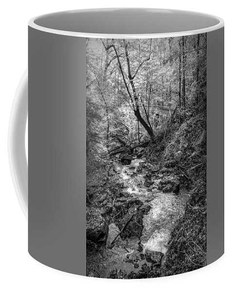 Cherokee Coffee Mug featuring the photograph Fall Cascades at Cloudland Canyon Black and White by Debra and Dave Vanderlaan