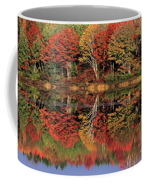 Dave Welling Coffee Mug featuring the photograph Fall Color Reflected in Thornton Lake Michigan by Dave Welling