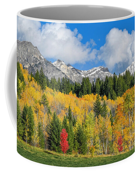 British Columbia Coffee Mug featuring the photograph Fall color, Rocky Mountains, BC, Canada by Michael Wheatley