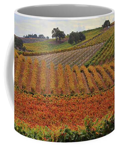 Wine Coffee Mug featuring the photograph Fall Colored VIneyard Paso Robles California Wine Country by Stephanie Laird