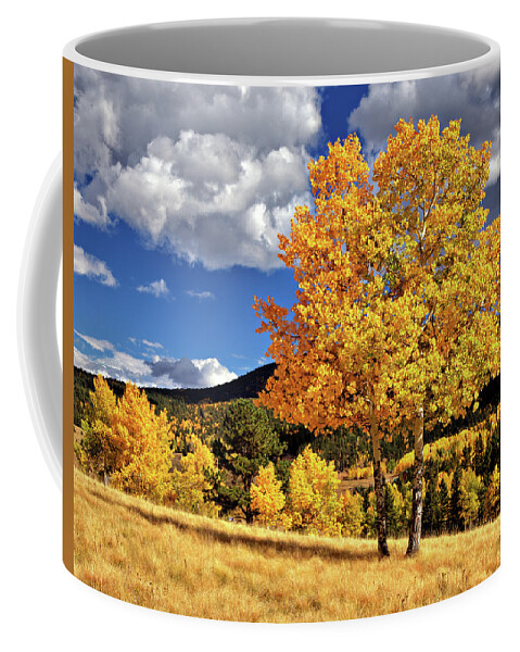 Aspens Coffee Mug featuring the photograph Fall Colors by Bob Falcone